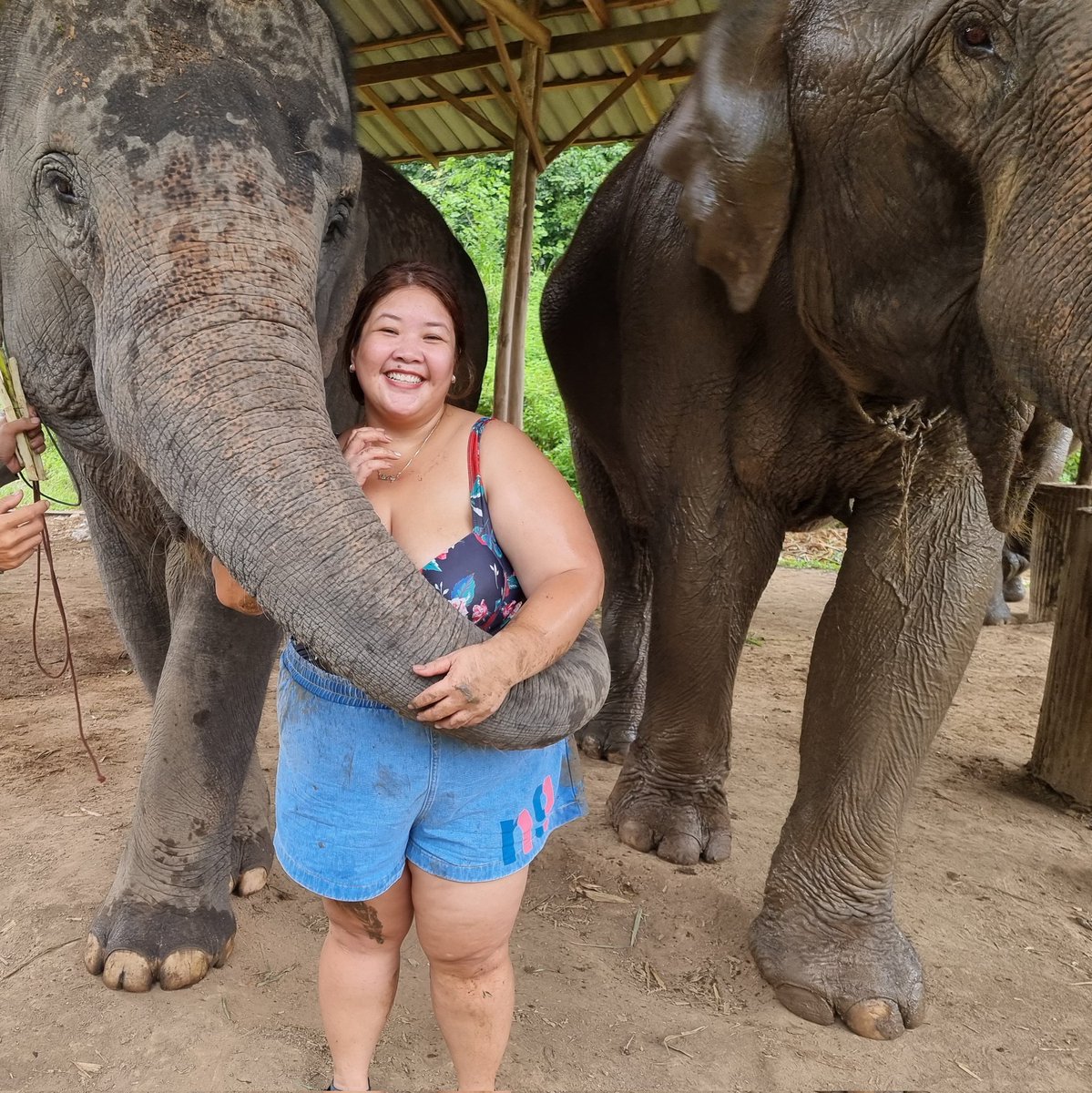 KathyWanderlust's tweet photo. #NewProfilePic https://t.co/2IstriRzjd