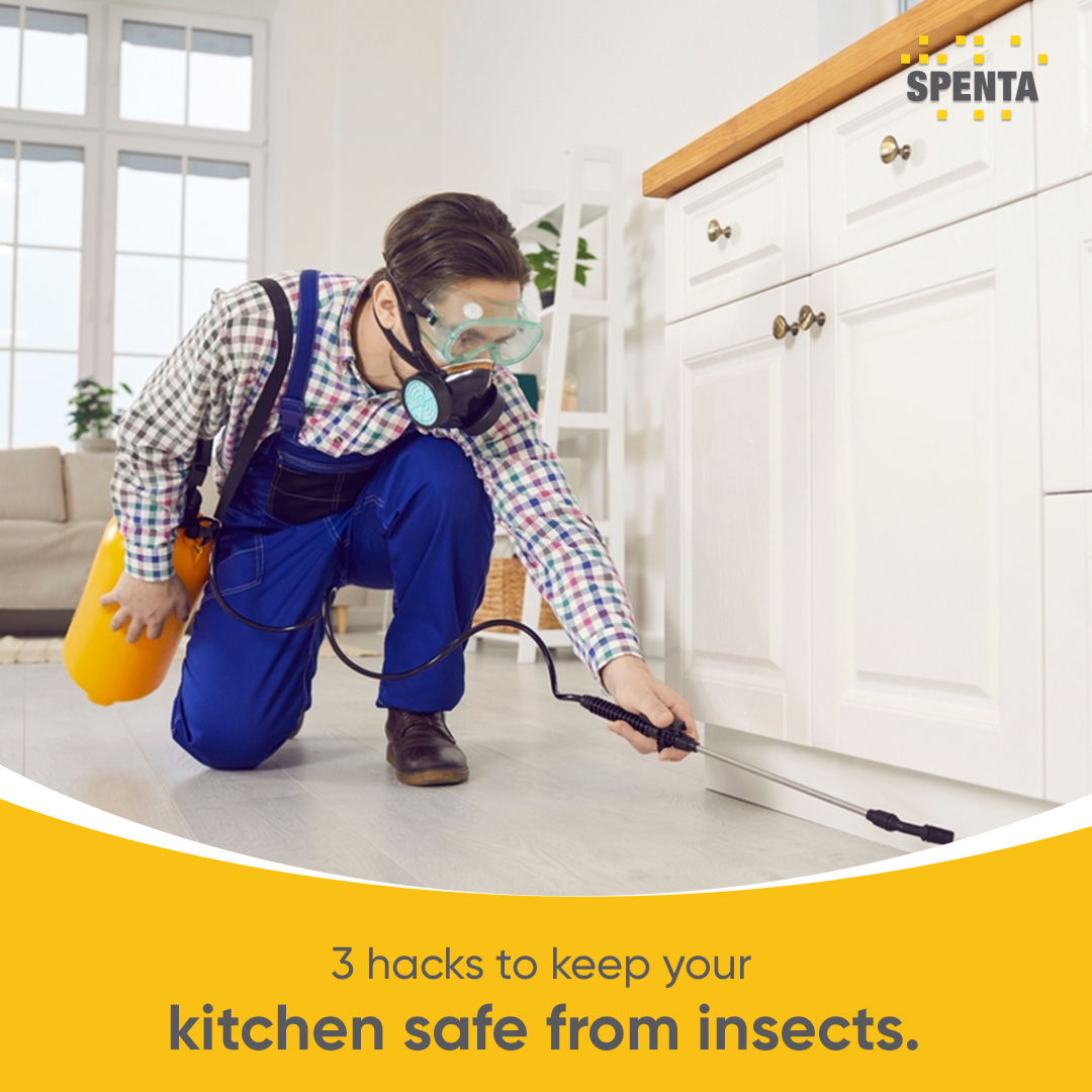 spenta_corp's tweet photo. These 3 hacks will be your go to act to keep the pests away from your kitchen!
Give them a try  and let us know your results.

#Hacks #HomeHacks #Spenta #RealEstate  #SpentaHomes #Home #Property #Mumbai https://t.co/qXmDwU9w7w