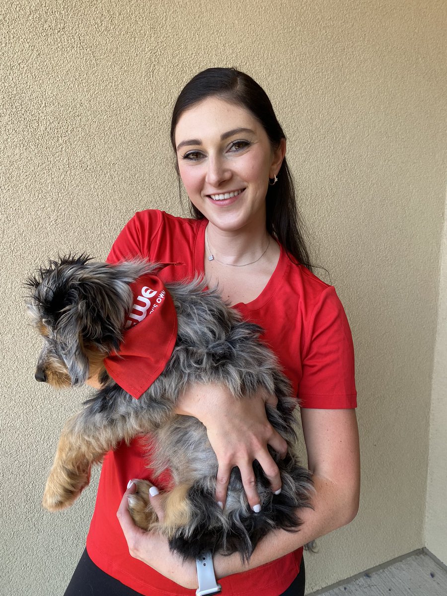 JamieWeissKMBC's tweet photo. Happy #RedFriday❣️It’s also our furry friend community day here at @kmbc! @WaysideWaifs need folks to adopt more pets, but they need volunteers too! Visit https://t.co/Tt67AMusHR to learn how you can help! Luna says paws up to lend a helping hand! #WaifsWearRed #kccommunityday https://t.co/J5nzOrb6wS
