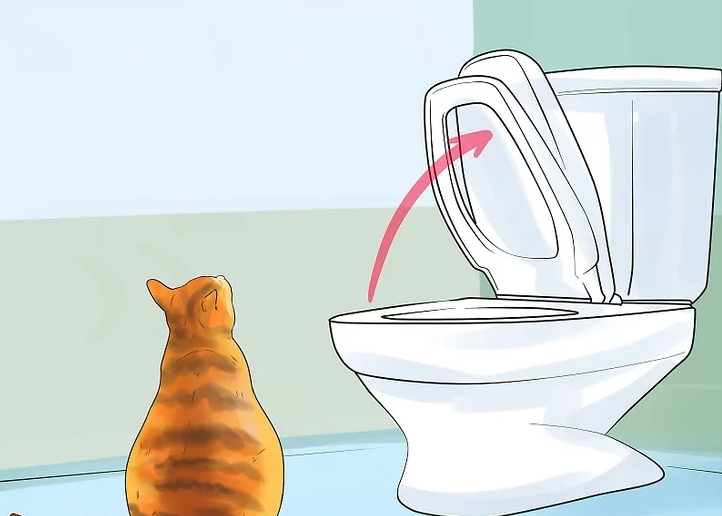 TrumpCardRabbit's tweet photo. 𝐇𝐨𝐰 𝐭𝐨 𝐭𝐨𝐢𝐥𝐞𝐭 𝐭𝐫𝐚𝐢𝐧 𝐲𝐨𝐮𝐫 𝐜𝐚𝐭
P11|Familiarize yourself with the downsides to toilet training.
Familiarize yourself with the criticisms of toilet training so you can make a well informed decision about whether it's right for you and your pet.
#kitten https://t.co/o3ryq4Nbd2