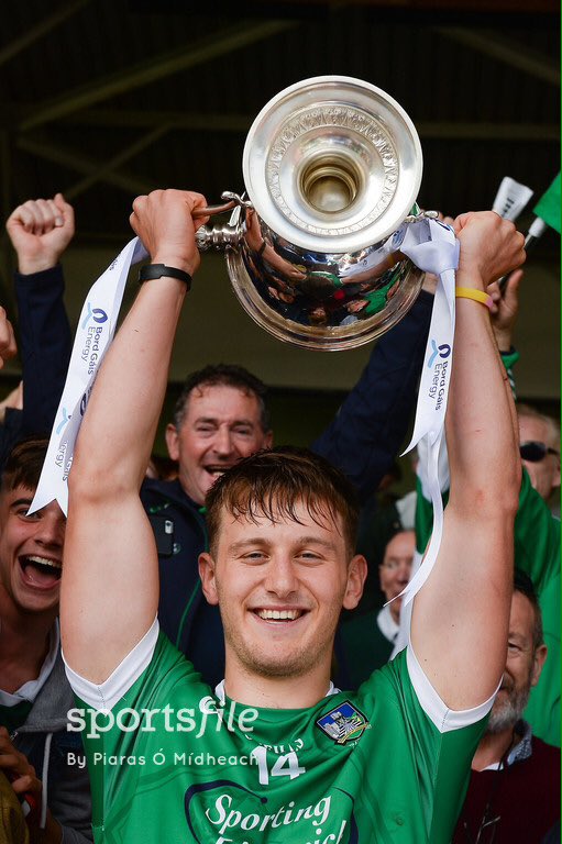 Cuimhnigh ar Luimneach : Limerick Supporters Group tweet media