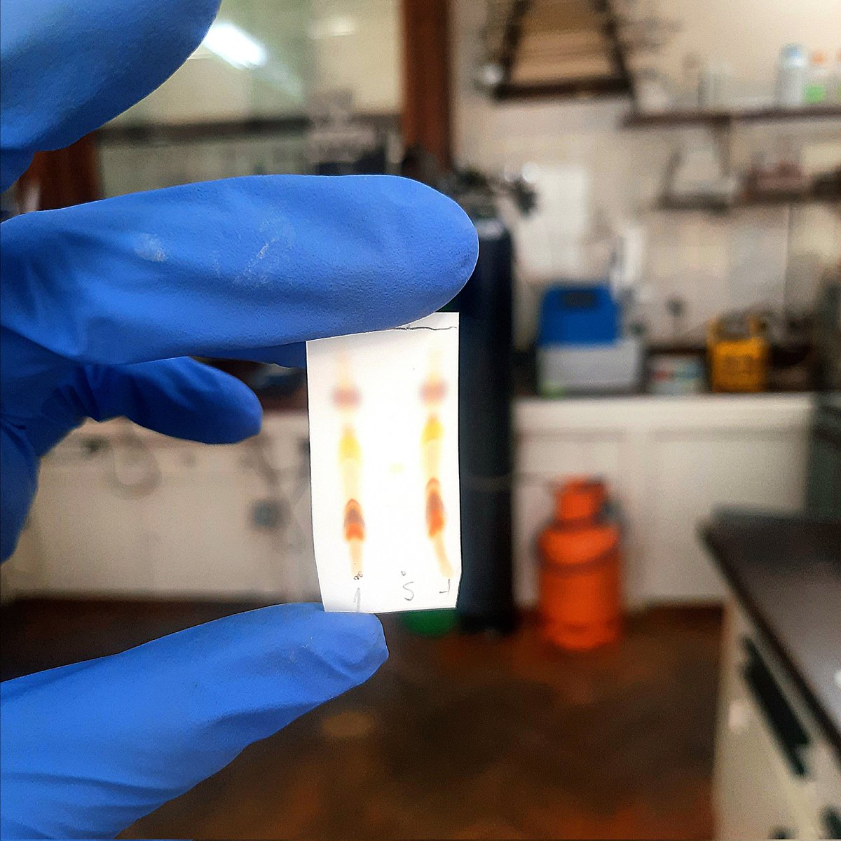 OpsenicaLab's tweet photo. Failed experiment but a pretty TLC ๐คฉ๐
#orgchem #heterocycles #silverlining #fail #itslife
#science #reaction #tlc #research #gradschool #phd #gradstudent #chemistry #realtimechem #serbianscience #universityofbelgrade #facultyofchemistry #chemtwitter #lab #project #hemija https://t.co/LZljwyVYvB