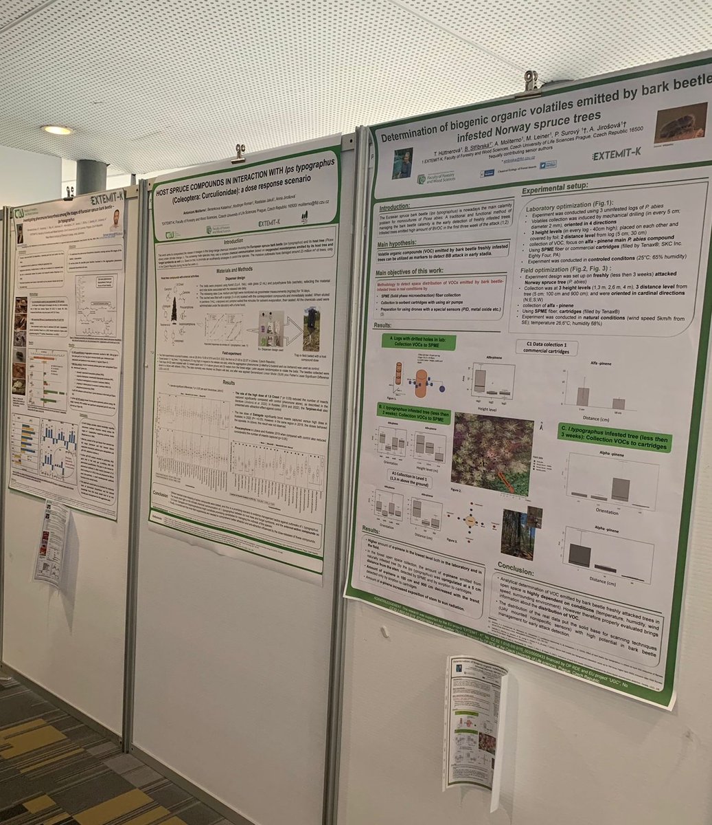 EcologyInsects's tweet photo. Our team is currently reporting the findings in the @IUFRO 2022 conference at Lisbon, Portugal.

As it is the final day of the event, Catch them for interesting discussion if you haven't yet! https://t.co/CZXVMFNBbi