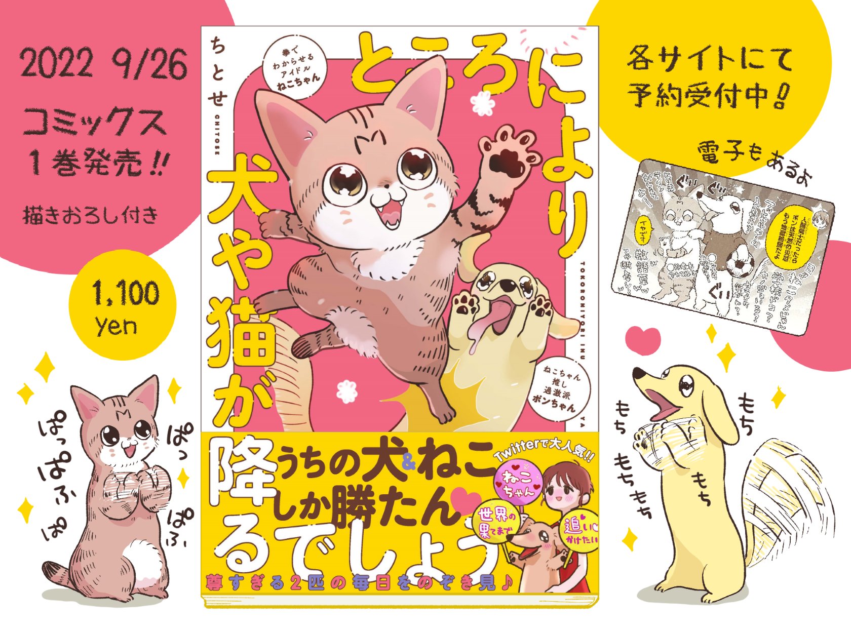 ちとせ Inunonekochan Twitter