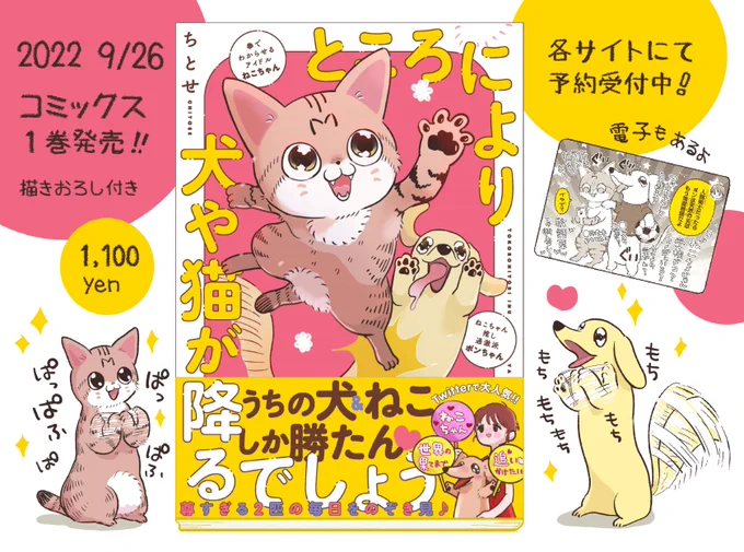 ボンちゃんとねこちゃんの漫画「ところにより犬や猫が降るでしょう」の1巻 9/26 発売! 全国の書店または通販にてお求めいただけます。予約受付中! よろしくね～🐈🐕❤ Amazon https://onl.sc/Wg8He4L カドカワストア 