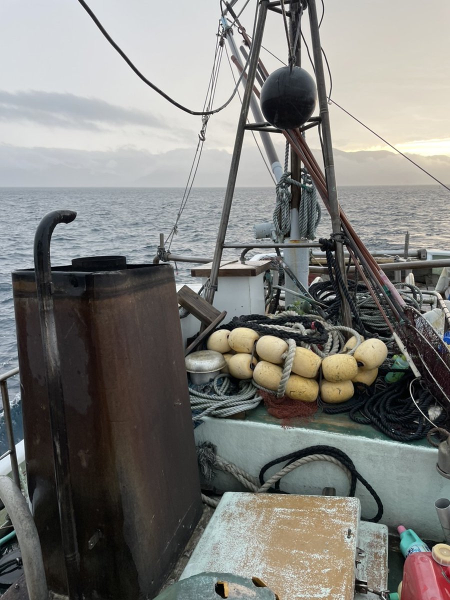shinkaigyo_ch's tweet photo. The closing period is finally over and the Heda trawl fishery opened yesterday.
We are looking forward to fishing this year.
We hope to see you again this season!
#Japan,#Shizuoka,#Heda,#Deep_Sea,#Deep_Sea_Fish,#Suruga_Bay,#Traditional_Trawl_Fishing https://t.co/EgBlvyZ7n9