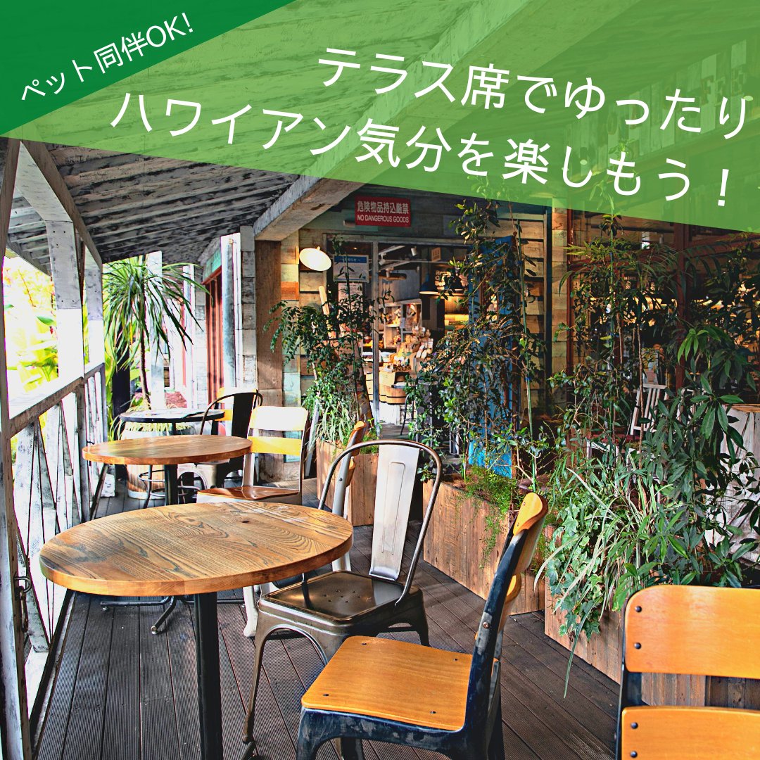 ペットも一緒にハワイ気分を楽しもう！🐶🌺🐱／ 秋晴れの陽ざしの心地