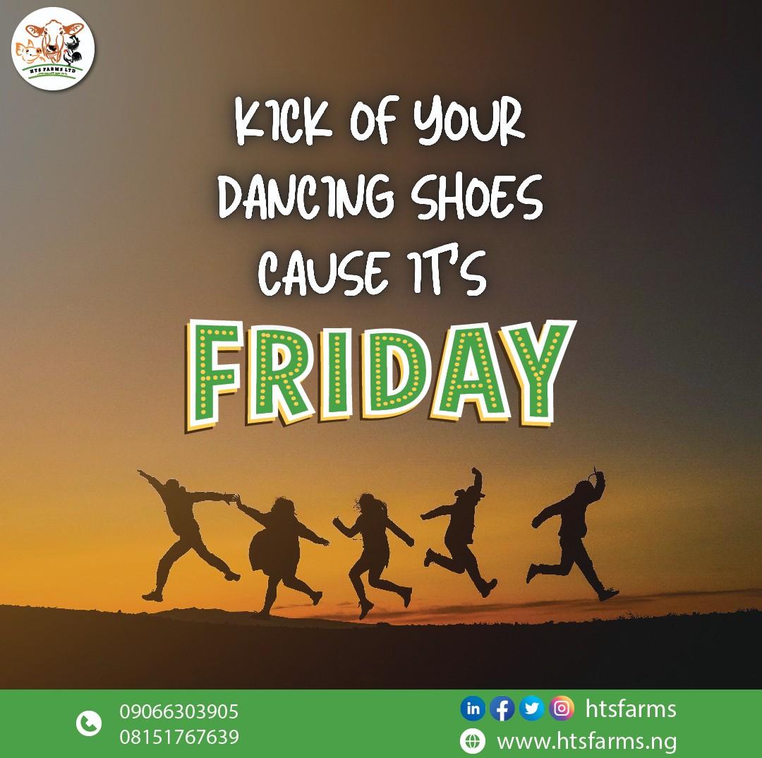 htsfarms's tweet photo. We think #Fridays should be synonymous with happiness😁

Have a fun Friday as usual..

#htsfarms #weekendvibes #funfilledweekend #happyweekend #tgif #agritech #AbujaTwitterCommunity https://t.co/yYb9eJCC5c