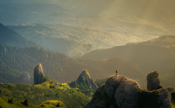 ConcienciaGlob1's tweet photo. La experiencia radical Tengo dos maneras de definir lo que para mí es la experiencia (no una experiencia particular, sino lo experiencia en sí). La primera definición dice así: “La experiencia es el patrón de interferencia entre la realidad que... https://t.co/Ubvz0wdmUl https://t.co/oUwCwKMk7U