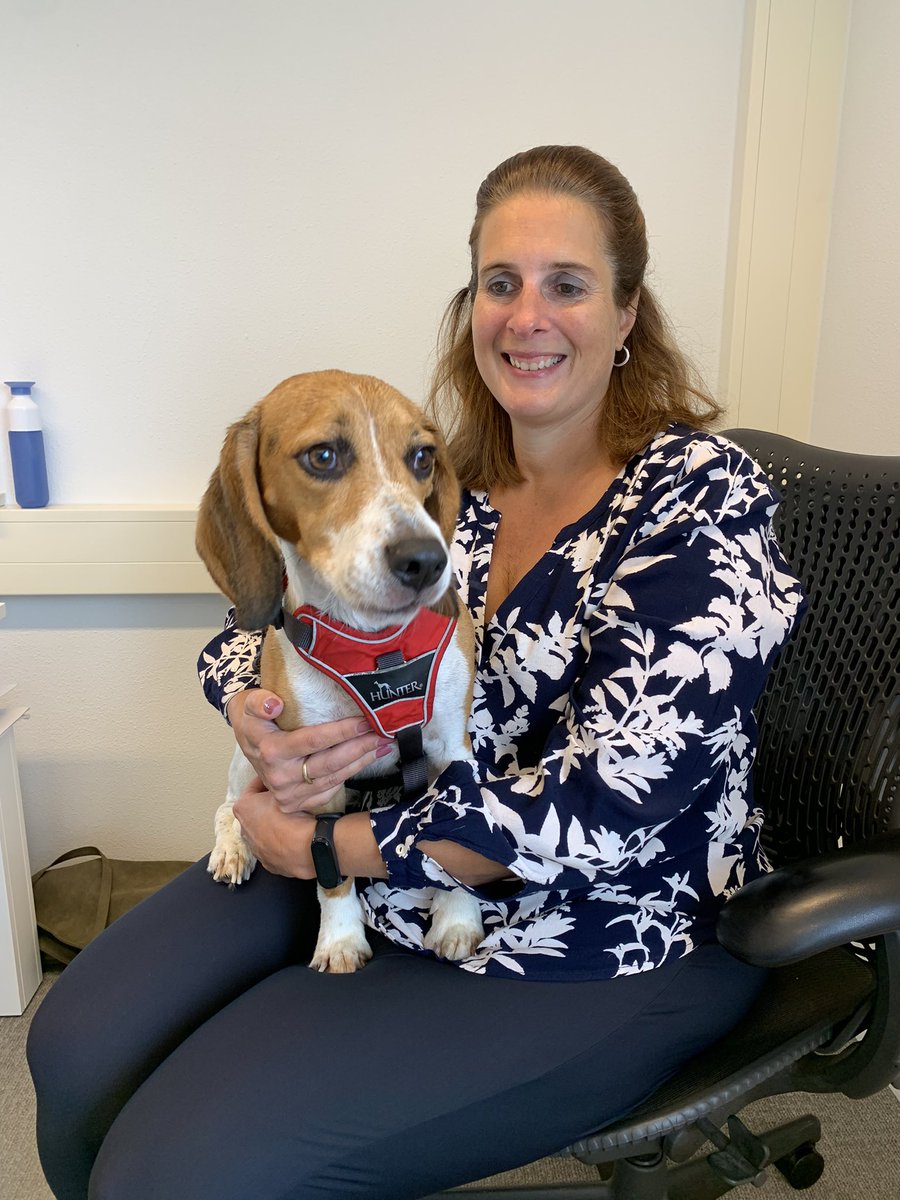 Peter Frijters tweet media