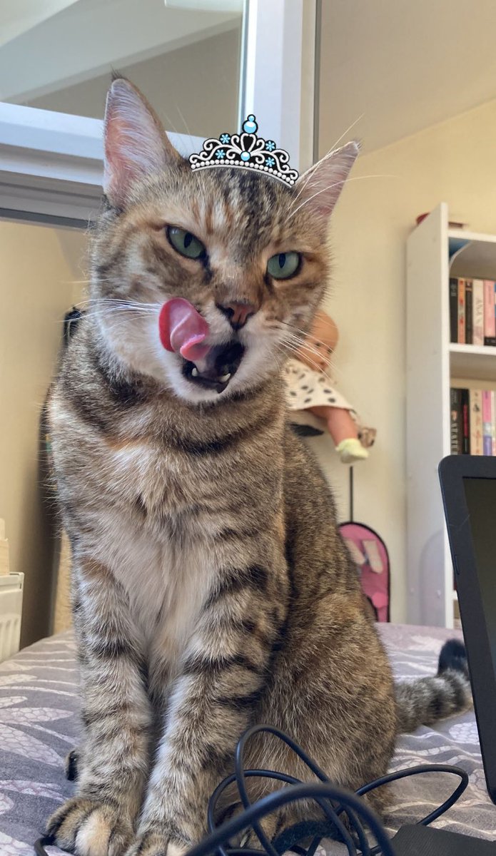 sakim olun, yaşıorum💅