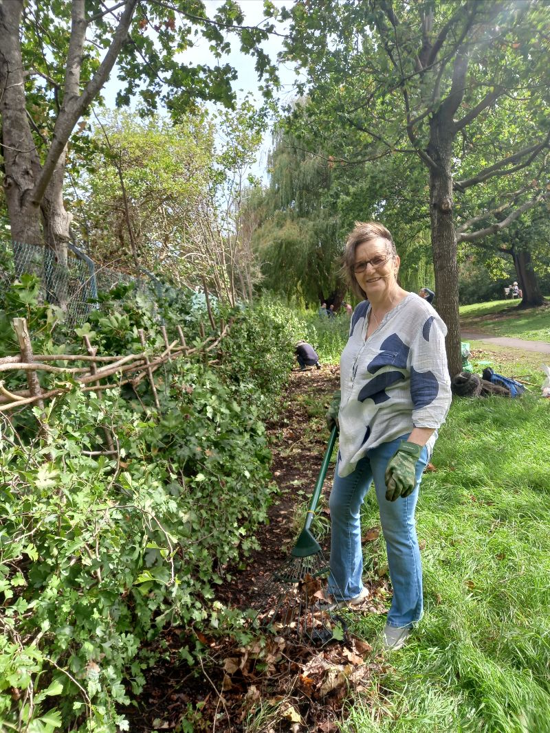 TCVRichmondGG's tweet photo. Green Gym Weekly Update, 9th September 2022 - https://t.co/AipXp1S1GG @LBRUT @FriendsRivCrane @habsandheritage https://t.co/E8MFWkyMTW