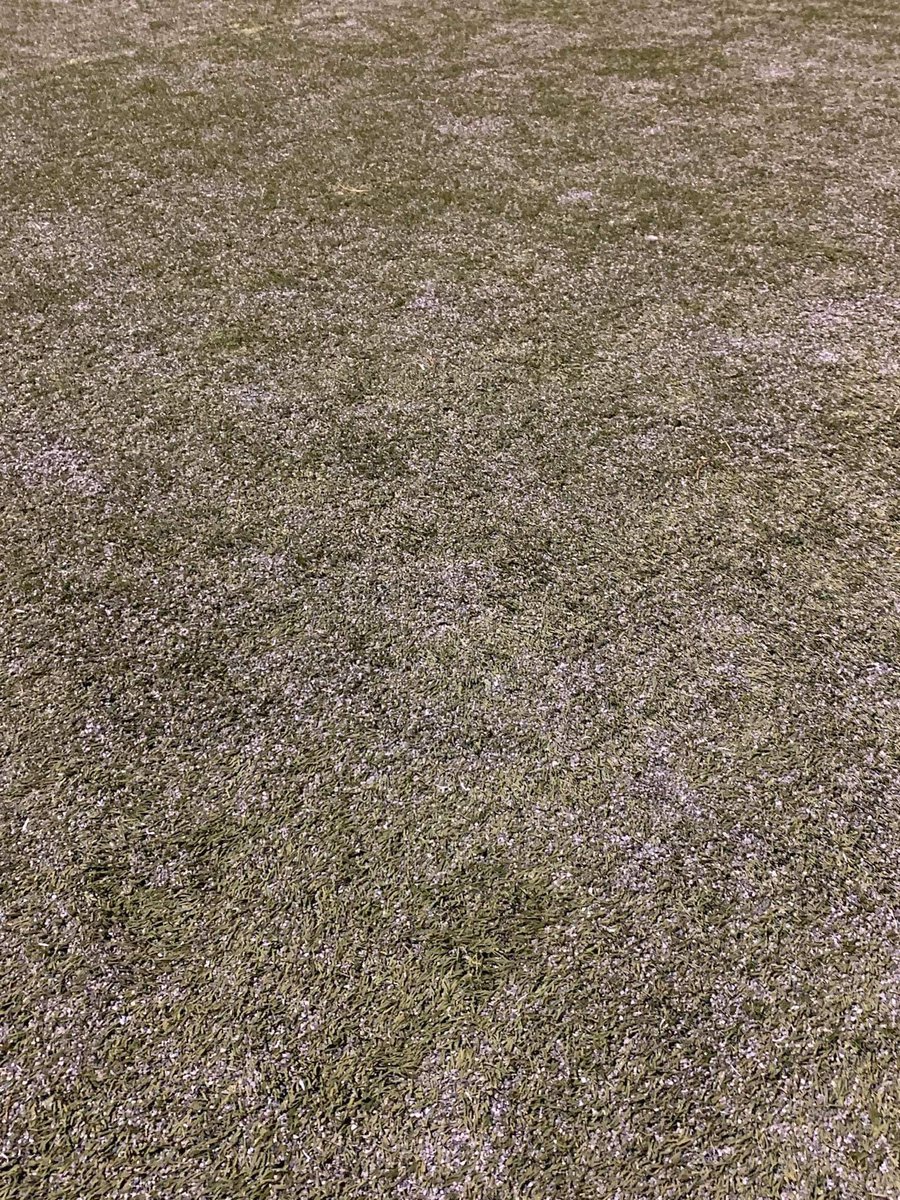 slaviafans_'s tweet photo. ☠️ Tak jsme se byli ráno podívat na té naší diskutované umělce. Neuvěřitelné, že na takovém povrchu máme vychovávat naše budoucí talenty. Hodně dlouho jsme neviděli horší UMT, naprosto nedůstojné! https://t.co/qWX0uRUA5U