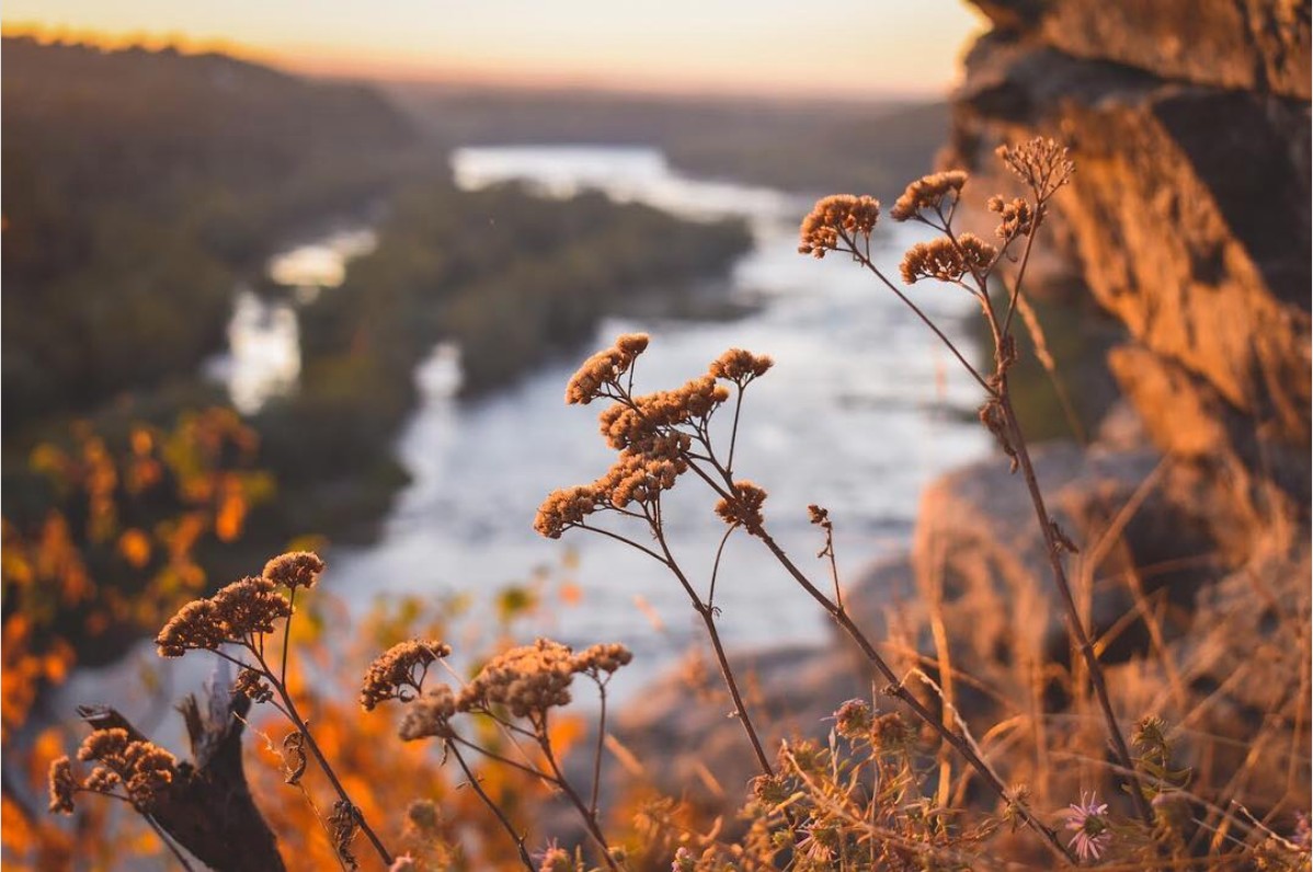 HFPAssociation's tweet photo. We're wrapping up the week with this stunning, cozy photo taken on the Maryland Heights Trail ๐พ๐๐
Happy #FeelGoodFriday!
๐ธ: https://t.co/f73CX5LUet
#HarpersFerryNHP #ExperienceHarpersFerry #FindYourPark #HarpersFerryNPS #FallColors #FallInToAdventure #FallInHarpersFerry https://t.co/CbWTvxcHhi