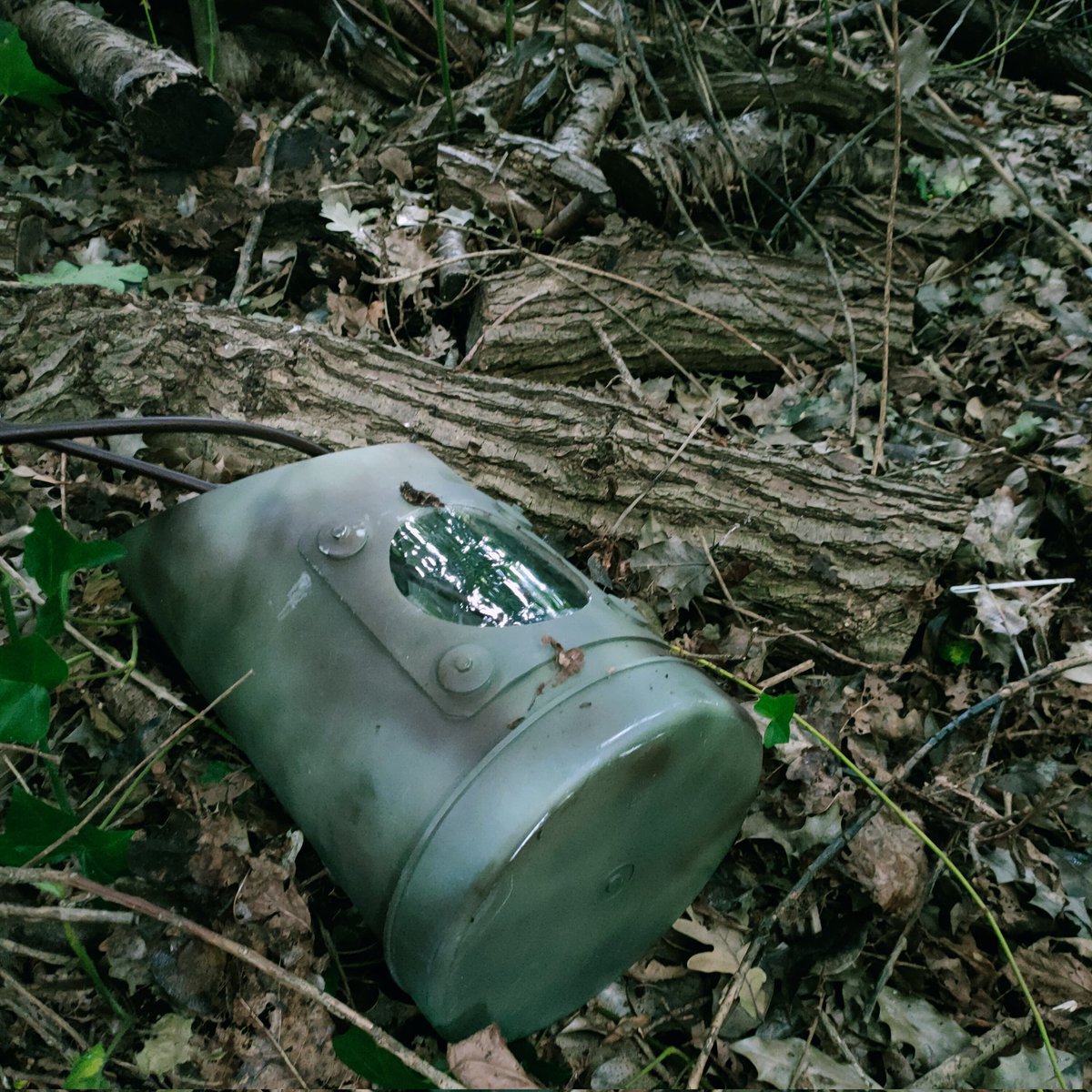 Onderzoek marterachtigen doormiddel van een cameraval. De resultaten worden tzt gedeeld.
#struikrover #ecologischonderzoek #wetnatuurbescherming