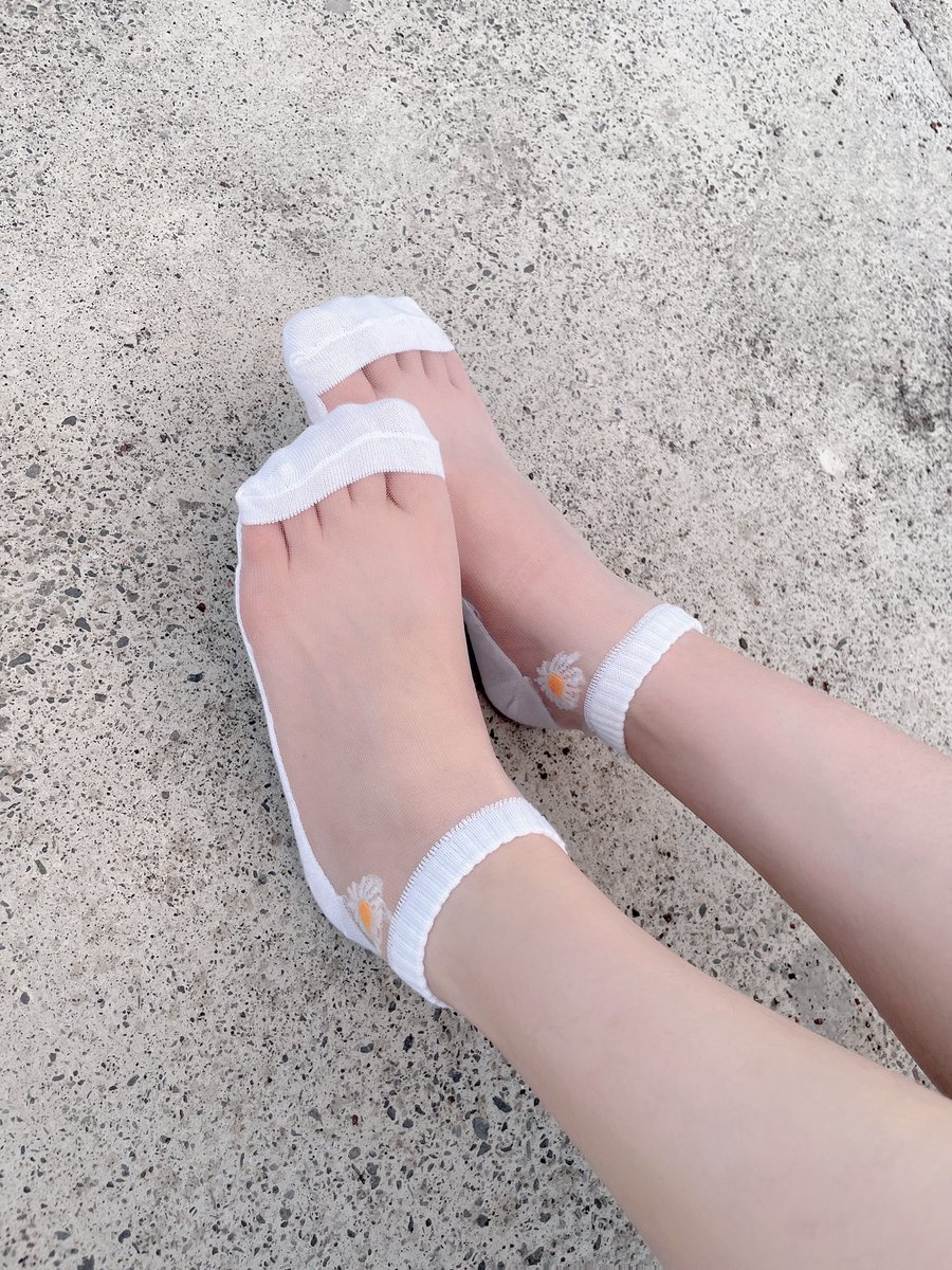 legs_158's tweet photo. 中秋節大家去哪賞月呢？

賞不到月可以賞我的小雛菊🌼襪襪😆

中秋節活動來了今天到9/10前，
只要購買任一品項+99就可以得到Candy的絲襪或任一襪子喔😍

大家一起+99跟糖糖一起長長久久吧😝 https://t.co/XaoCSQ3g98