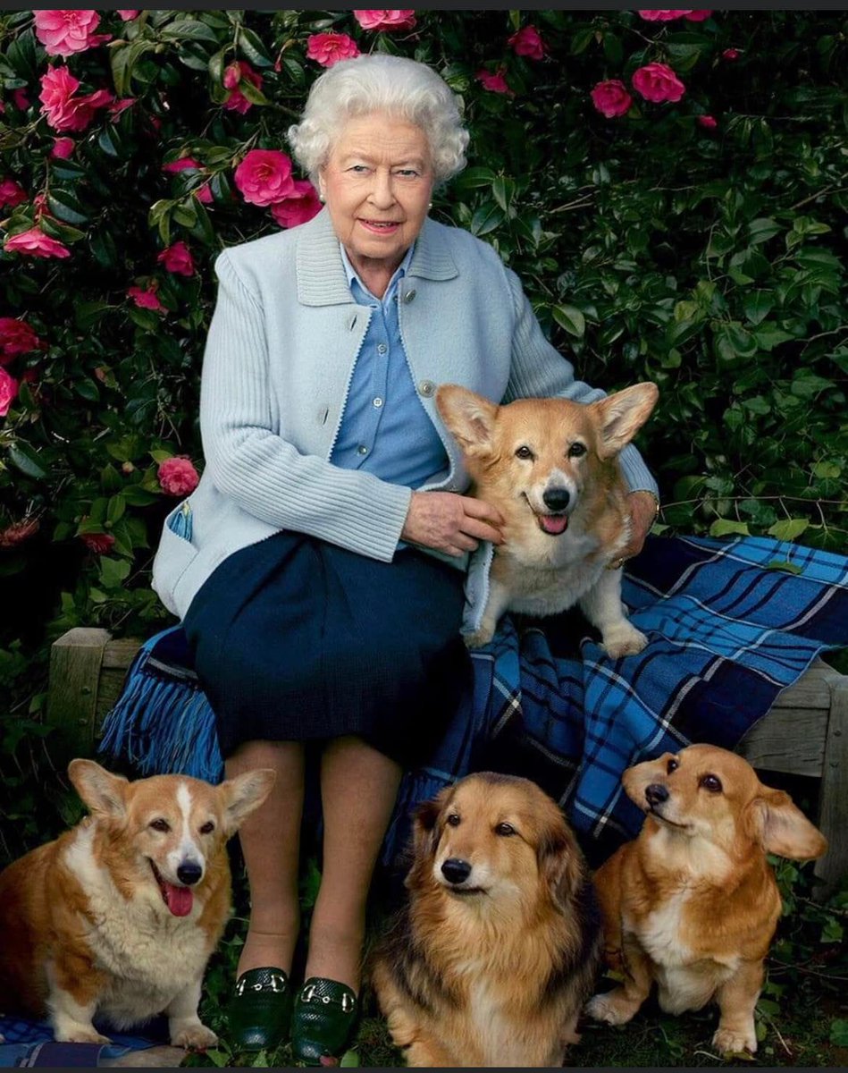 Rest in Peace Queen Elizabeth. Our thoughts are with the Royal family at this sad time.