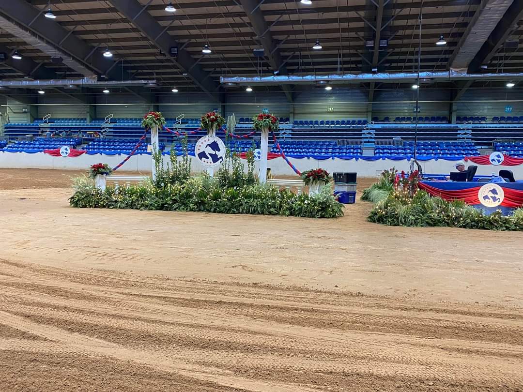 Day 2 AMHR Nationals. GOOD LUCK!