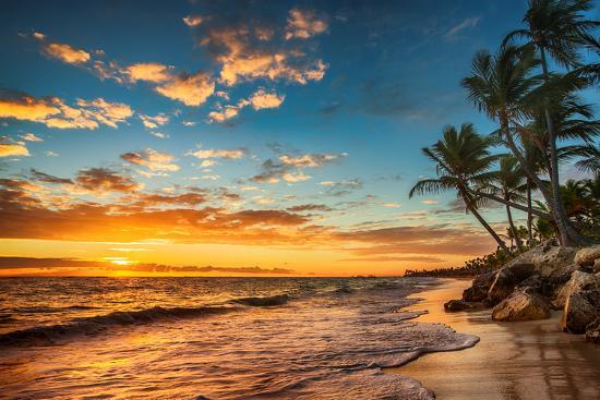 leonamyerrs's tweet photo. Summer is not over 😎🌞🔥

#morevacationplease
#needvitaminsea
#whennexttravel
#givemepalmeros
#sunsets https://t.co/T8CPIHM5LF