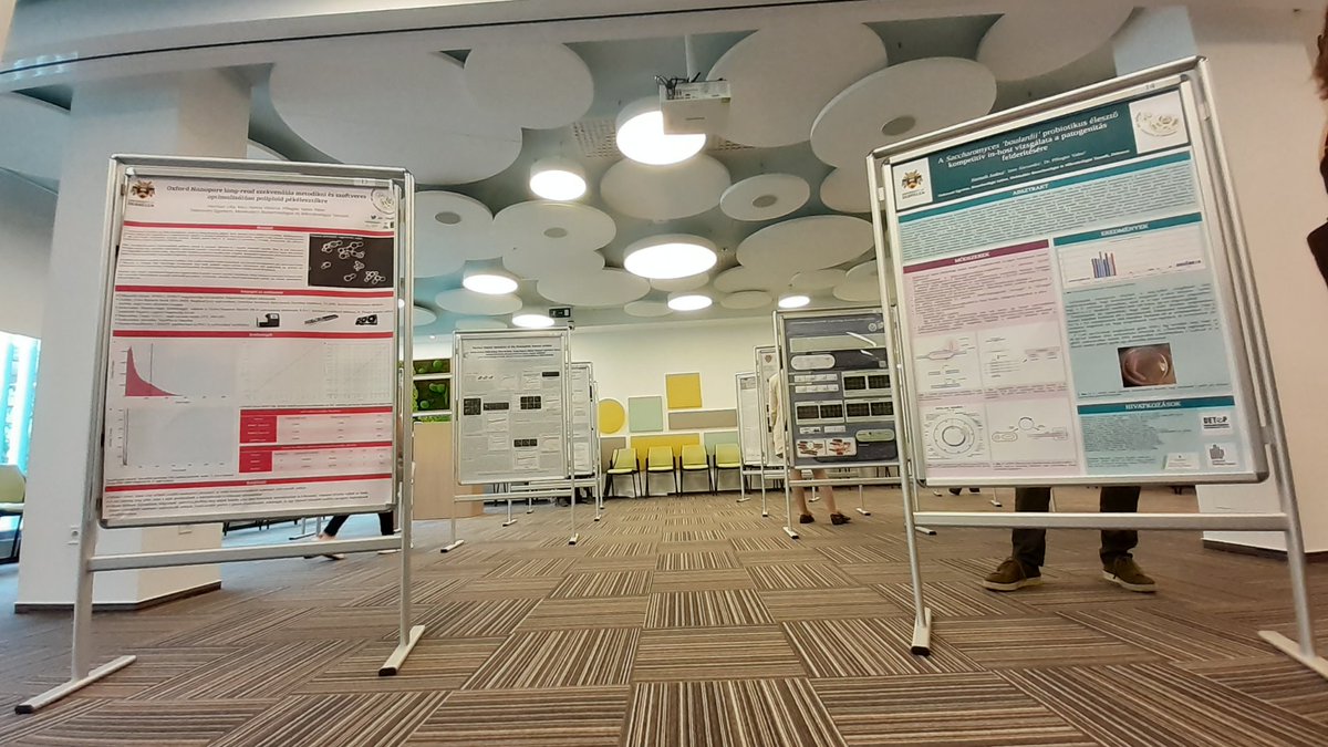 We are visiting the Hungarian Genetics Miniconference in Szeged w/ <a href="/alexandra_imre_/">Alexandra Imre</a> <a href="/RaczHanna/">Rácz Hanna</a> and two of our MSc students, Andrea and Lilla, who will present posters on #Saccharomyces! Congrats:)