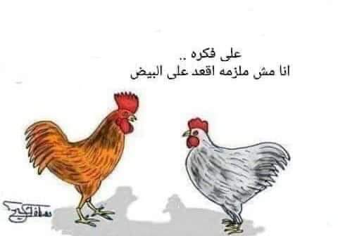 😂😂😂😂😂