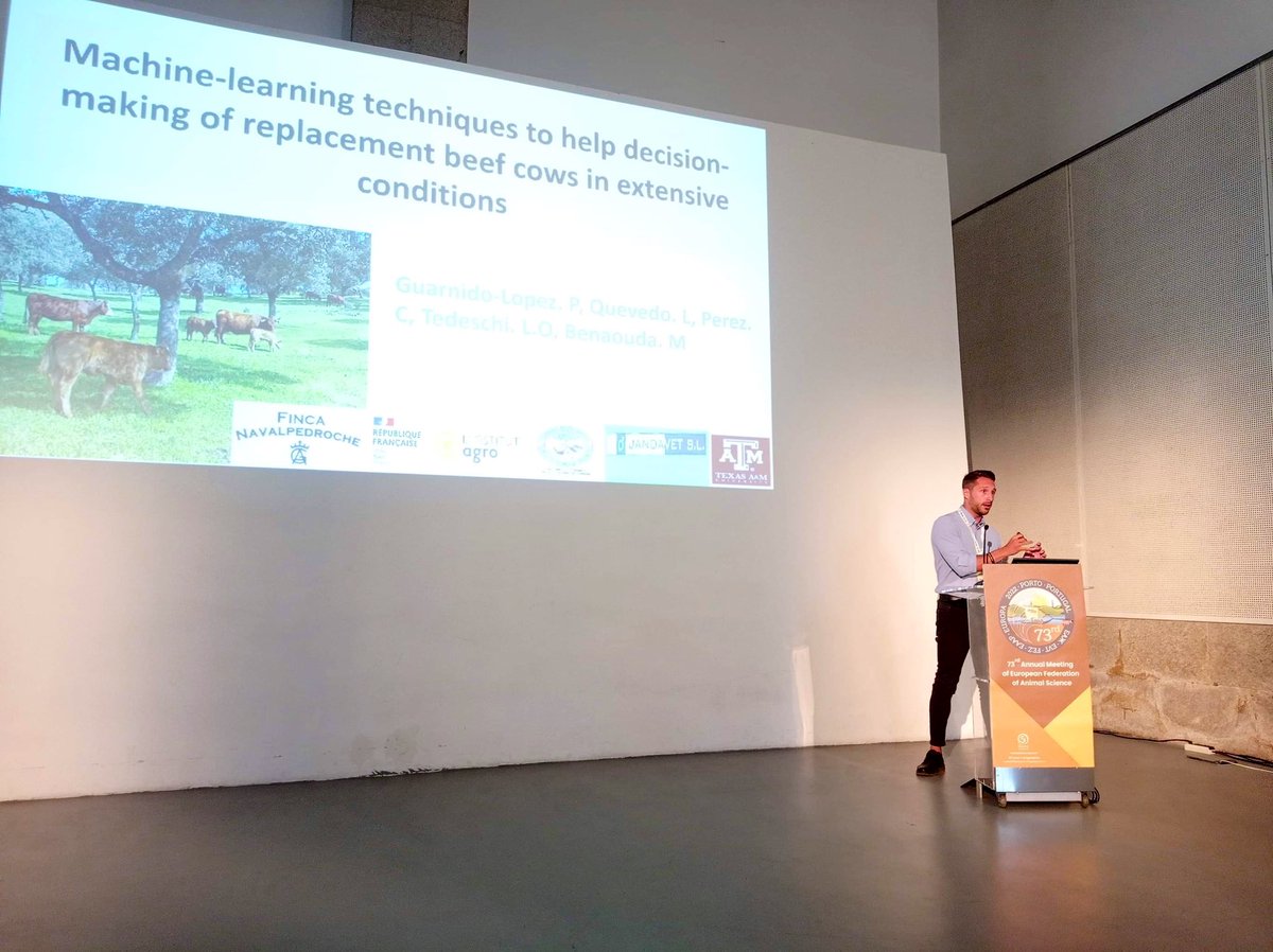 Very happy to present in #EAAP2022 How new machine learning techniques can help decision-making of beef cattle farmers in extensive conditions