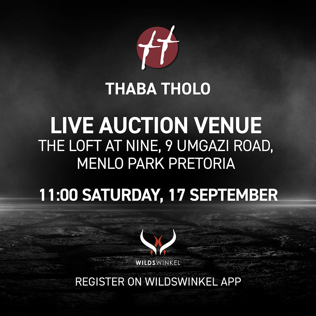 thabatholo's tweet photo. Time is ticking towards Thaba Tholo's auction of Titans

LIVE AUCTION IS AT LOFT AT NINE IN PRETORIA

Live Auction starts closing lots from 11:00 Sat, 17 Sept at Loft at Nine, Pretoria

LOFT AT NINE - THE INDUSTRIAL VENUE

Tel: 071 868 3114

Directions: https://t.co/AqXYNhlgW3 https://t.co/mryH2AkCWI