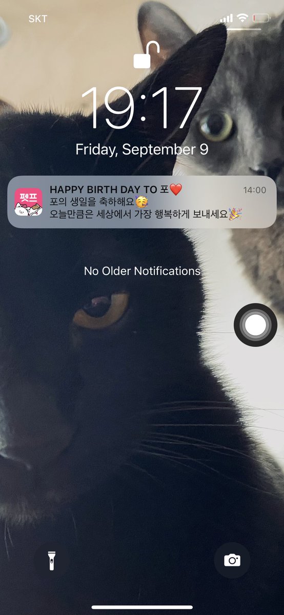 포 생일 축하해 보고시퍼