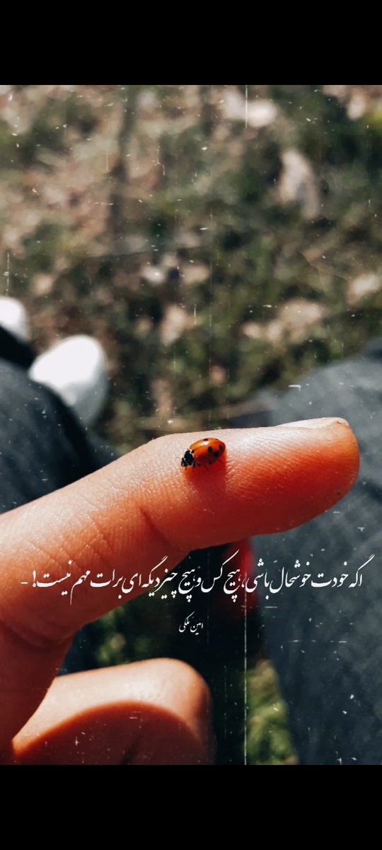 AmiinMaleki's tweet photo. هیچکسوهیچچیزدیگهایبراتمهمنیست!-
#aminmaleki #textgram #textgraphy #حال_خوش #کفشدوزک https://t.co/DQwhSHmnp8
