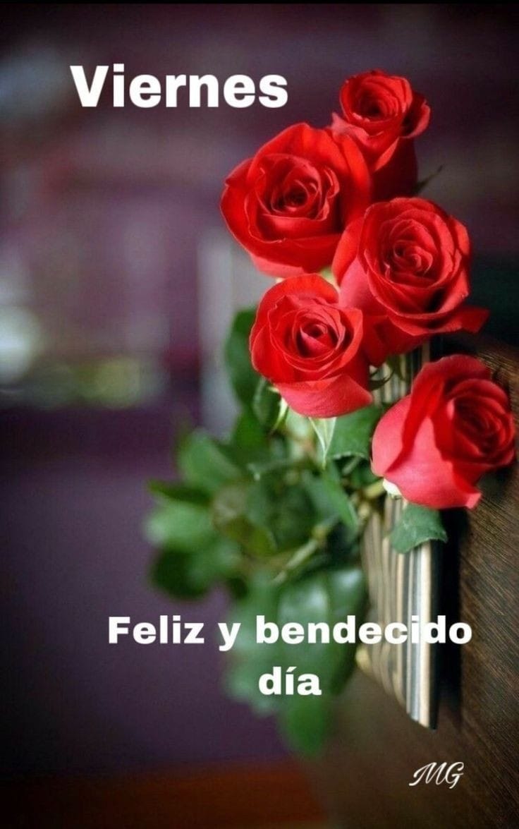 Muy buen fin de semana, excelente viernes😉👌☕🍀🌹🌹