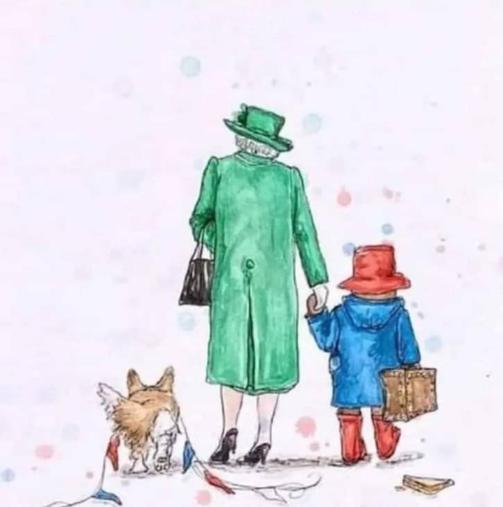 Order.Beer (@orderdotbeer) on Twitter photo 