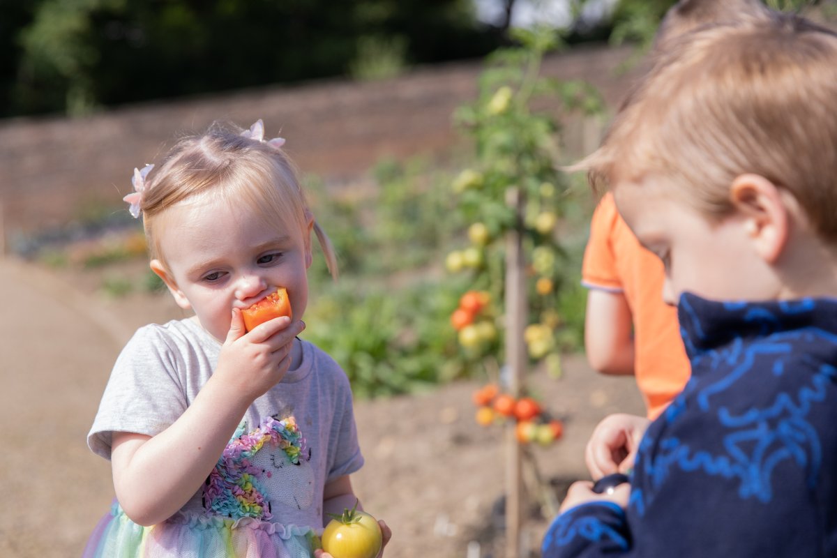 The Auckland Project on Twitter "It's OrganicSeptember and we're