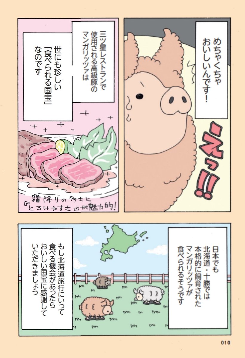 こんな感じで色んな動物たちを紹介していますのでよろしくお願いいたします! 
