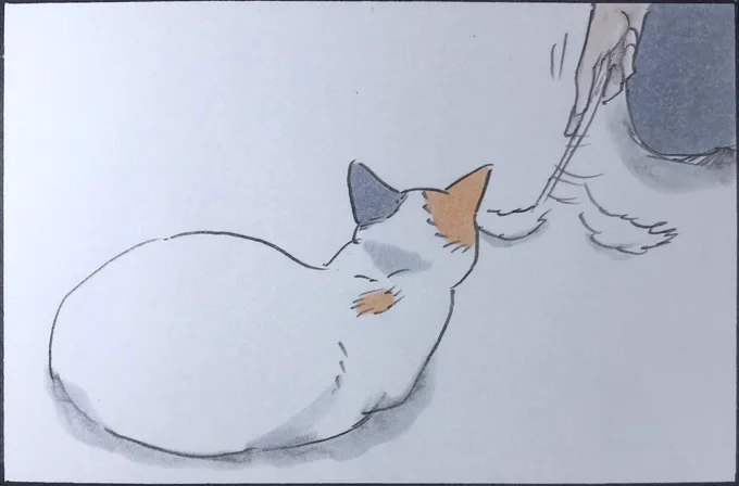 『まだまだ現役』 