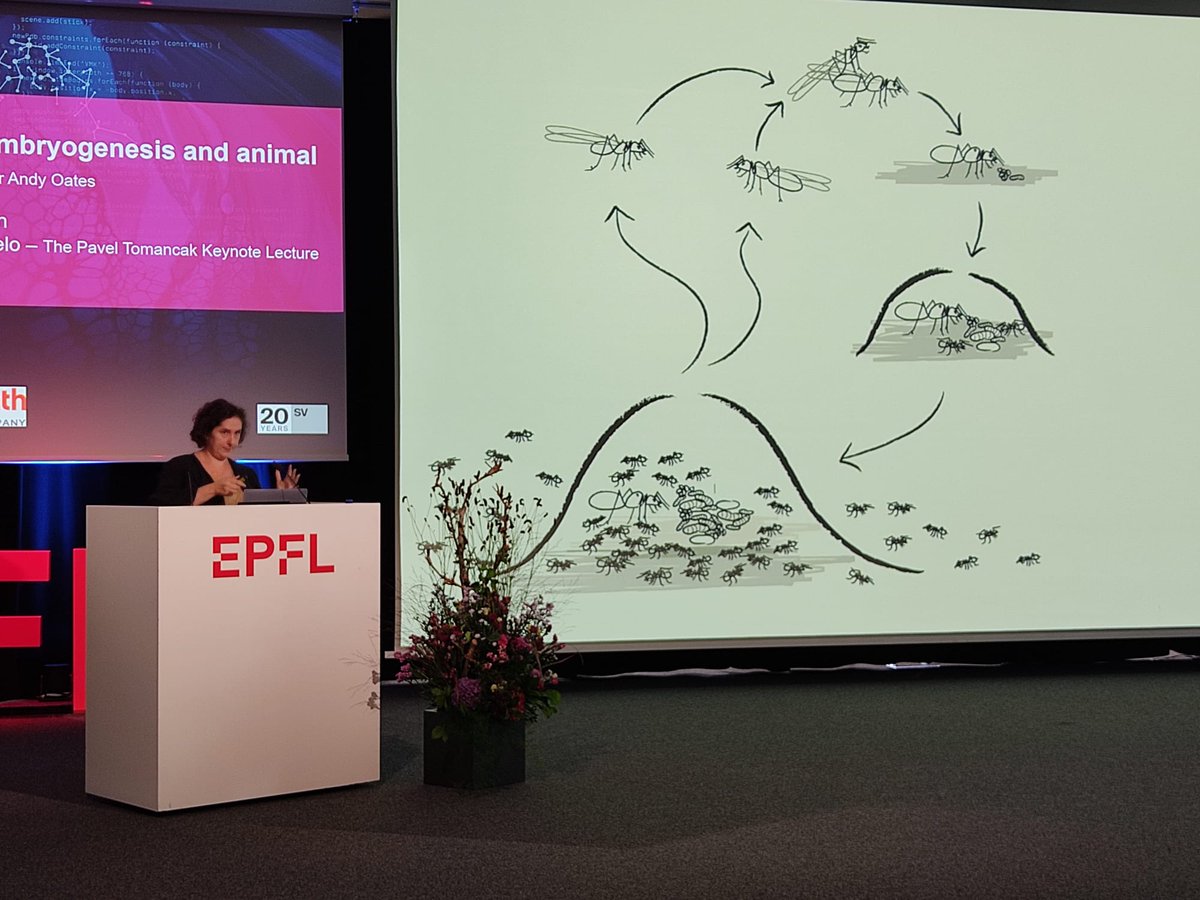 "All life is social, at least at some scale". Let's talk about ants! 🐜Adria LeBoeuf <a href="/adriaexists/">@Adria@mstdn.science aka Adria LeBoeuf</a> from <a href="/unifrBiology/">unifrBiology</a> describes how the endogenously produced proteins transmitted via fluid exchange (trophallaxis) relate to colony life in the carpenter ant.
#LSS2022