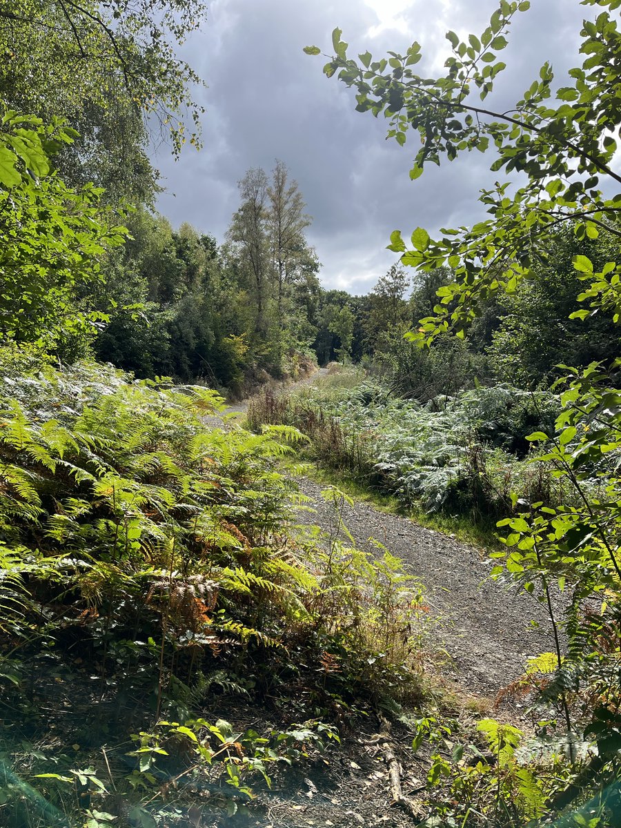 Der Bergische Dschungel funktioniert immer noch.