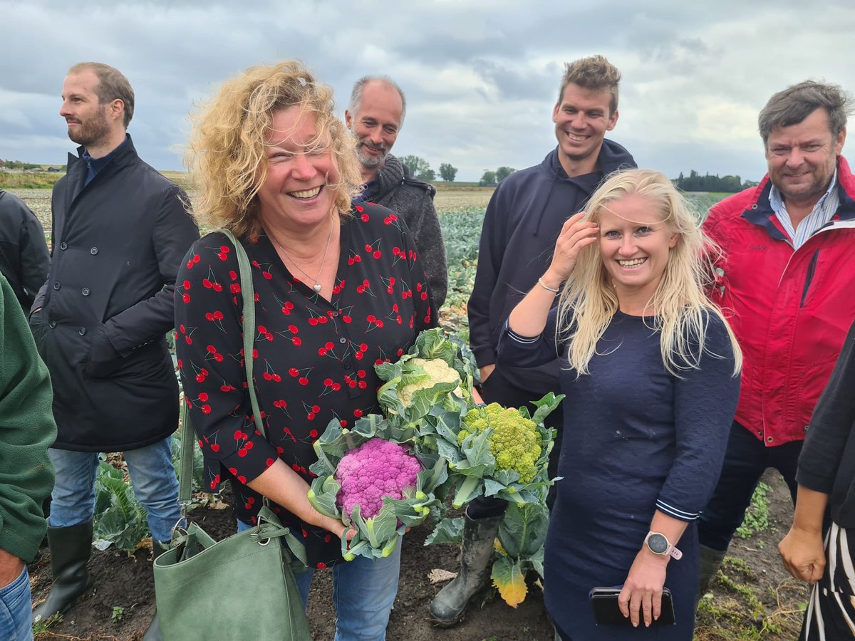 In het duurzaam bloemkoolproject werken wetenschappers, studenten en bloemkooltelers samen aan de verbetering van de bodemkwaliteit en biodiversiteit. Mooi dat ondernemers Pé en Wim uit Hem meedoen aan dit ‘living lab’. <a href="/ProvincieNH/">Noord-Holland</a> ondersteunt dit project vanuit de #voedselvisie