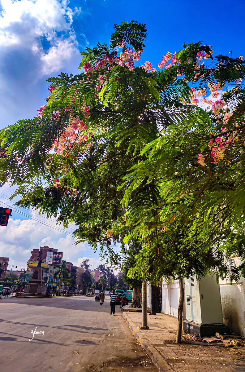 💚💚💚💚💚💚💚💚