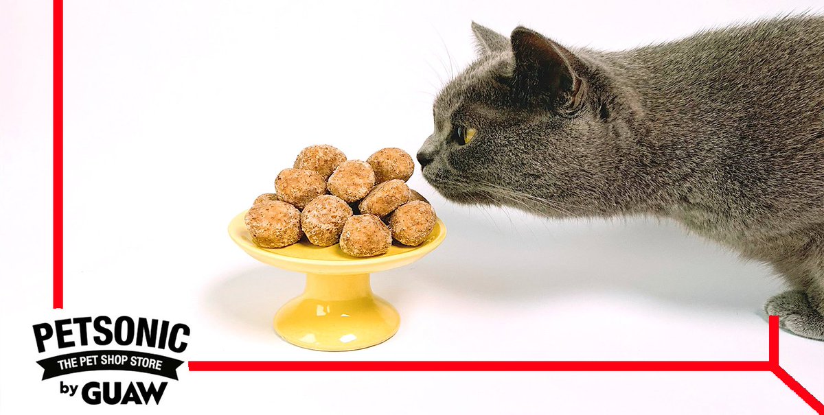 Dato curioso: los felinos no pueden detectar los sabores dulces. Esto se debe a una mutación genética que vuelve inútiles los detectores de azúcar de sus papilas gustativas. Encuentra la mejor selección de golosinas para gato en nuestra web. ¡Consíguelas! 🐈🍬

#kitten #animales