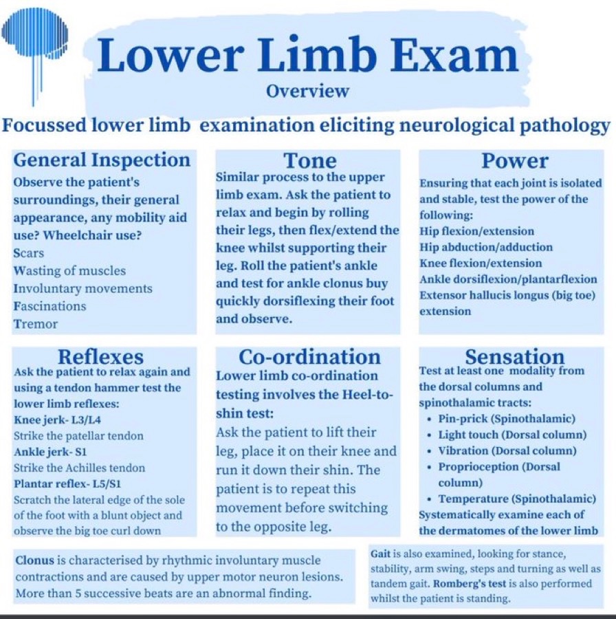 Lower Limb Examination