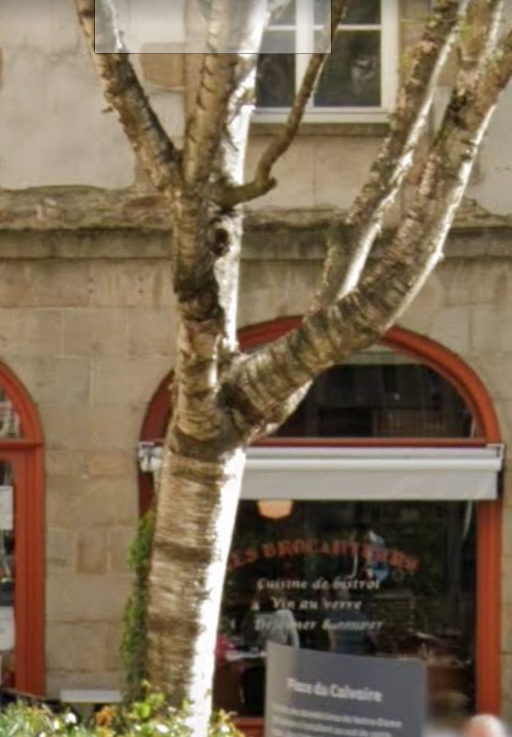 galipatterns's tweet photo. @Alexleserveur on le voit un peu mieux sur cet autre angle ! https://t.co/BUfMiqI1bF