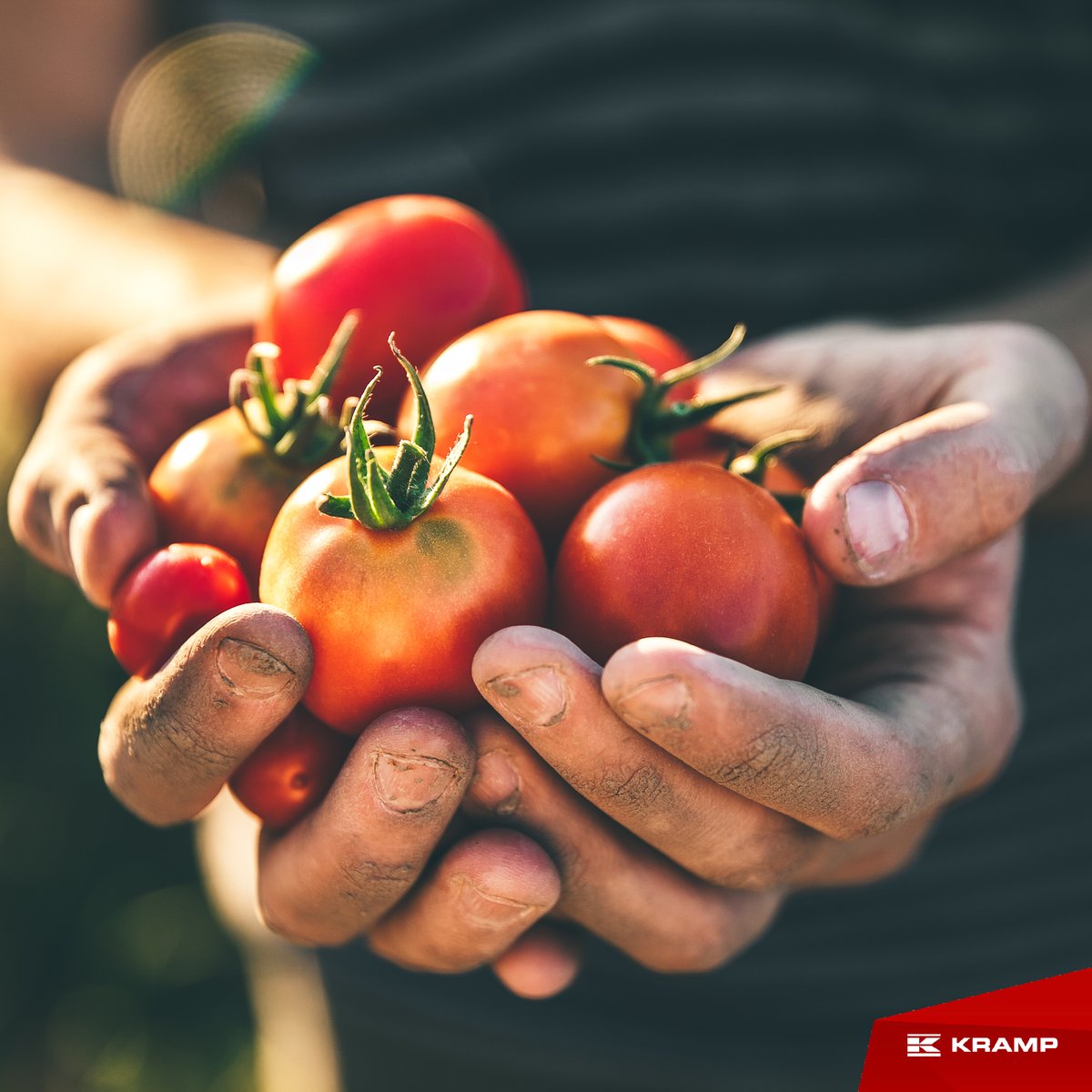 Happy #WorldAgricultureDay ! Today is a special day, and we want to celebrate all the hard work, love, and passion of those who are dedicated to agriculture for bringing food to all tables around the world. We are proud to support you!