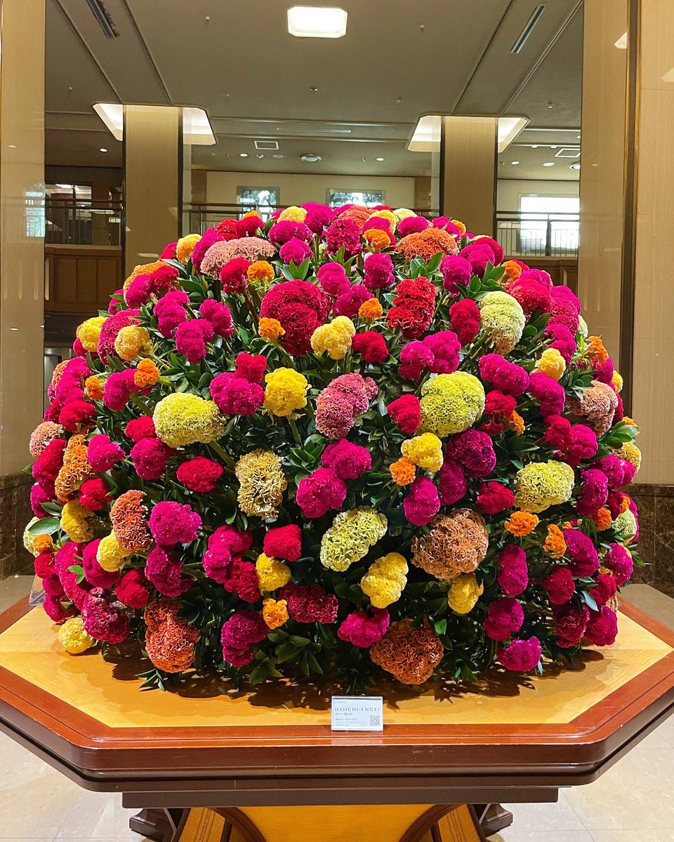 Lotusbee8's tweet photo. 帝国ホテルのロビー装花💐💐💐
今月はケイトウ💐
花の形が鶏のとさかに似ていることから名付けられたケイトウ(鶏頭)
#帝国ホテル #帝国ホテル東京
#IMPERIALHOTEL #IMPERIALHOTELTokyo
#ロビー装花 #装花
#ケイトウ #クルメケイトウ
#plumedcockscomb https://t.co/kfdFhBHA1Z
