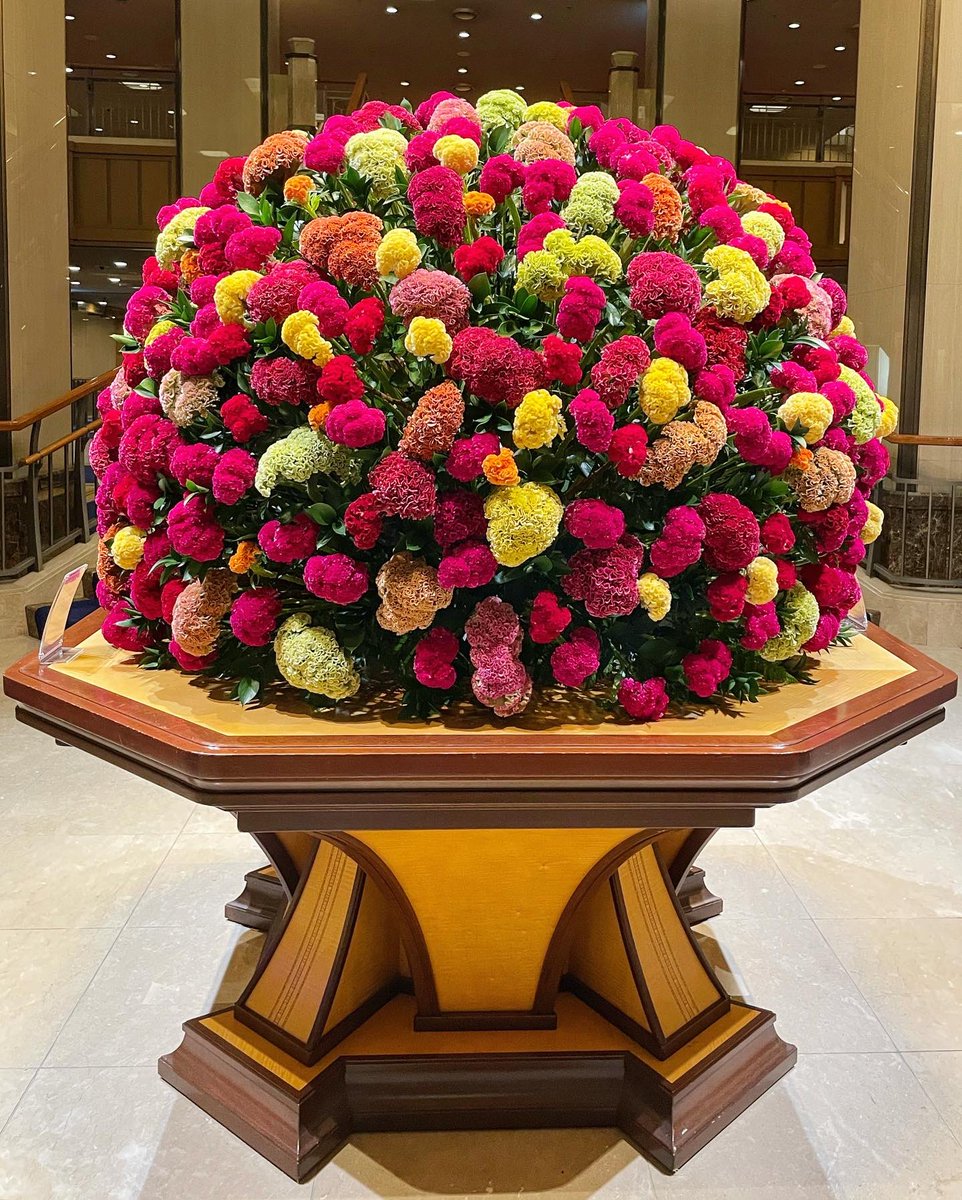Lotusbee8's tweet photo. 帝国ホテルのロビー装花💐💐💐
今月はケイトウ💐
花の形が鶏のとさかに似ていることから名付けられたケイトウ(鶏頭)
#帝国ホテル #帝国ホテル東京
#IMPERIALHOTEL #IMPERIALHOTELTokyo
#ロビー装花 #装花
#ケイトウ #クルメケイトウ
#plumedcockscomb https://t.co/kfdFhBHA1Z