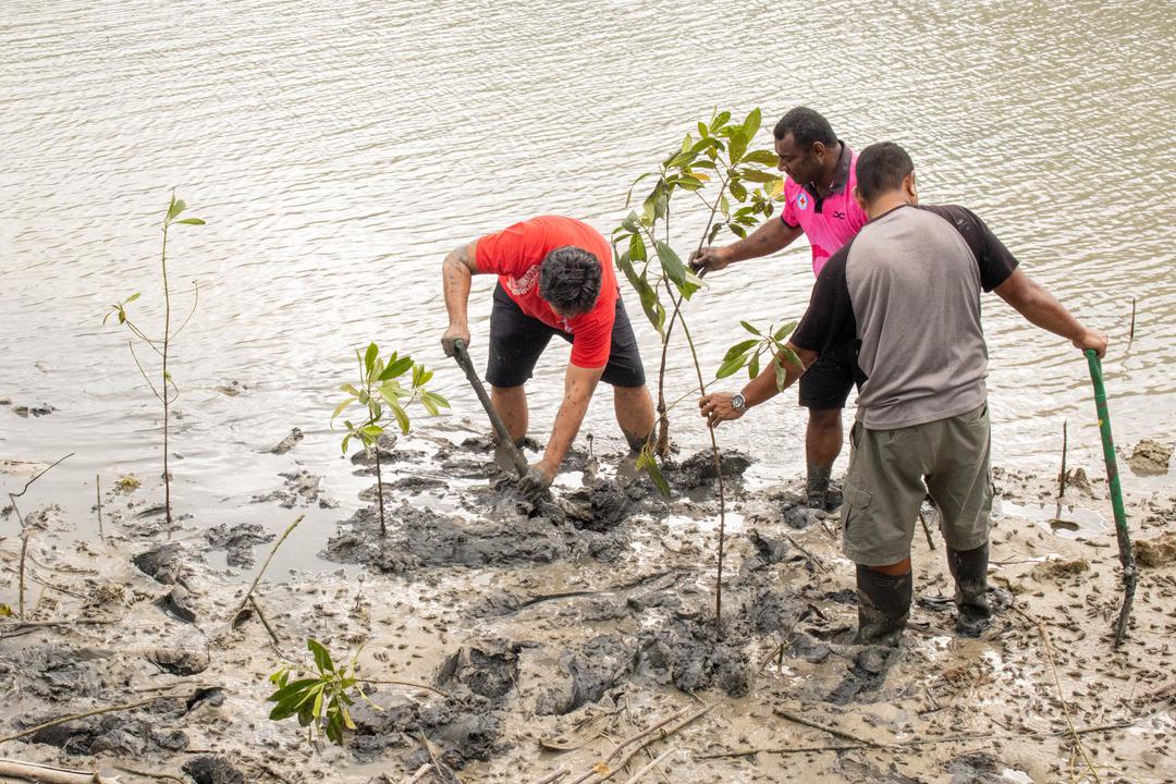 IFRCAfrica's tweet photo. Miles of beaches are disappearing in Seychelles, due to #ClimateChange.

The Red Cross of Seychelles organised a mangroves planting session in Mahe, which has seen the participation of @Disaster_Law teams from @IFRCAsiaPacific, @IFRC_es @MadaRedCross, @BngrcMada and @Piroi_FRC. https://t.co/P7XmXmbwRu