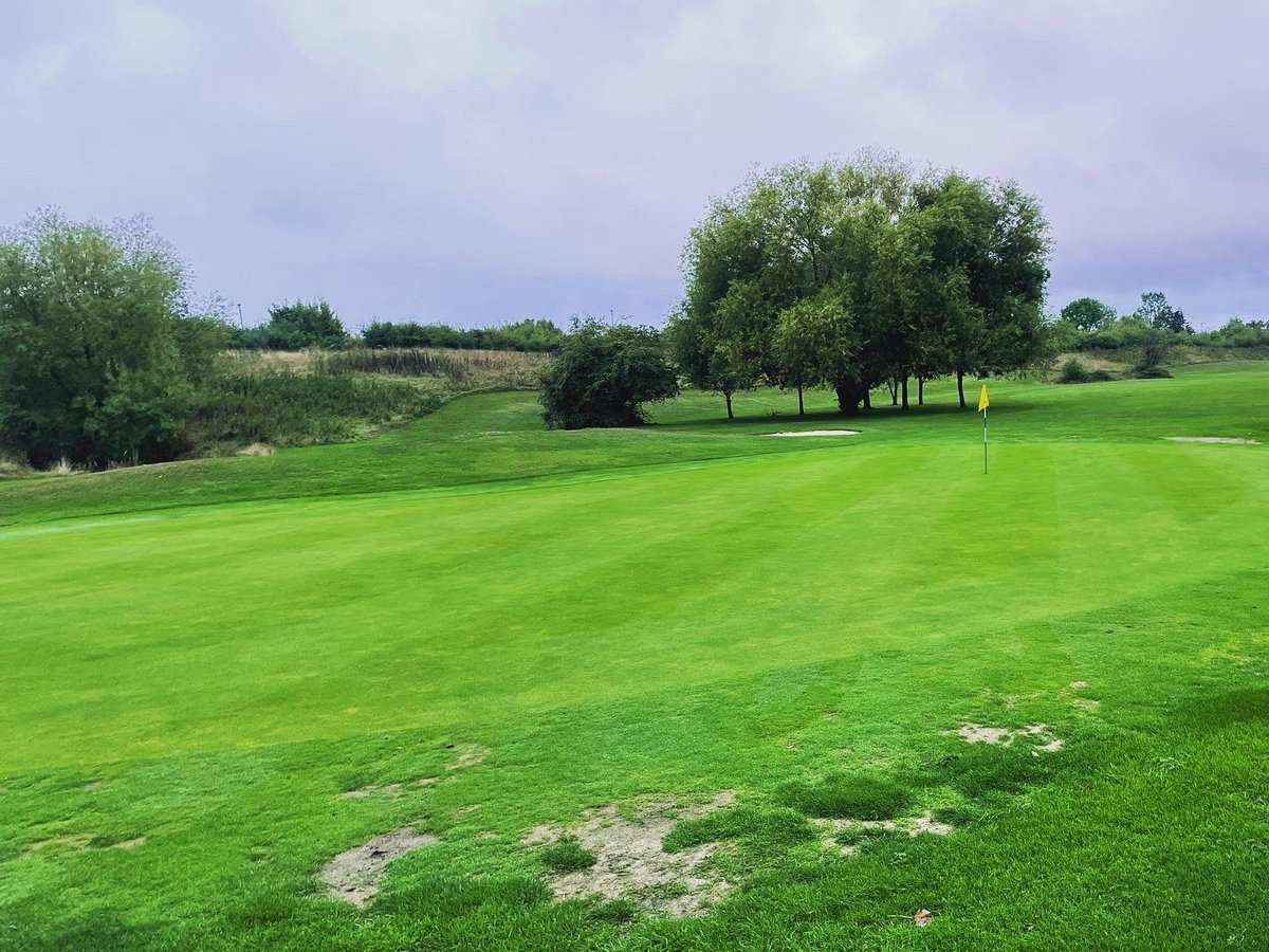Greens_RGC's tweet photo. Greens ✅
Holes changed✅
Bunkers ✅
Approaches ✅
Fairways getting there 2nd cut of the week ✅
Rough striped up ✅ #grassfactory #fun #letsgo #greenkeeperlife⛳️ https://t.co/BvyhkaOXrg