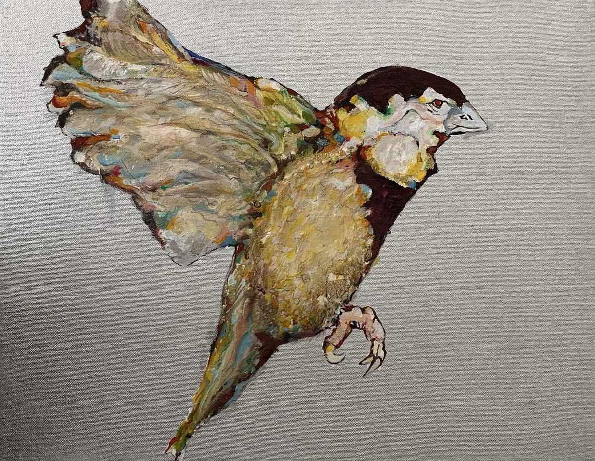 ArnoCarstens's tweet photo. YELLOW BIRD (2020)
https://t.co/jyIsx7jf2Z
Canvas or Archival Paper Prints available in three size options
#handsignedbyartist #firsteditionprints
International courier #BTC payments by arrangement
#art #artist #onlineartgallery #yellowbird https://t.co/z0ie0nIopb