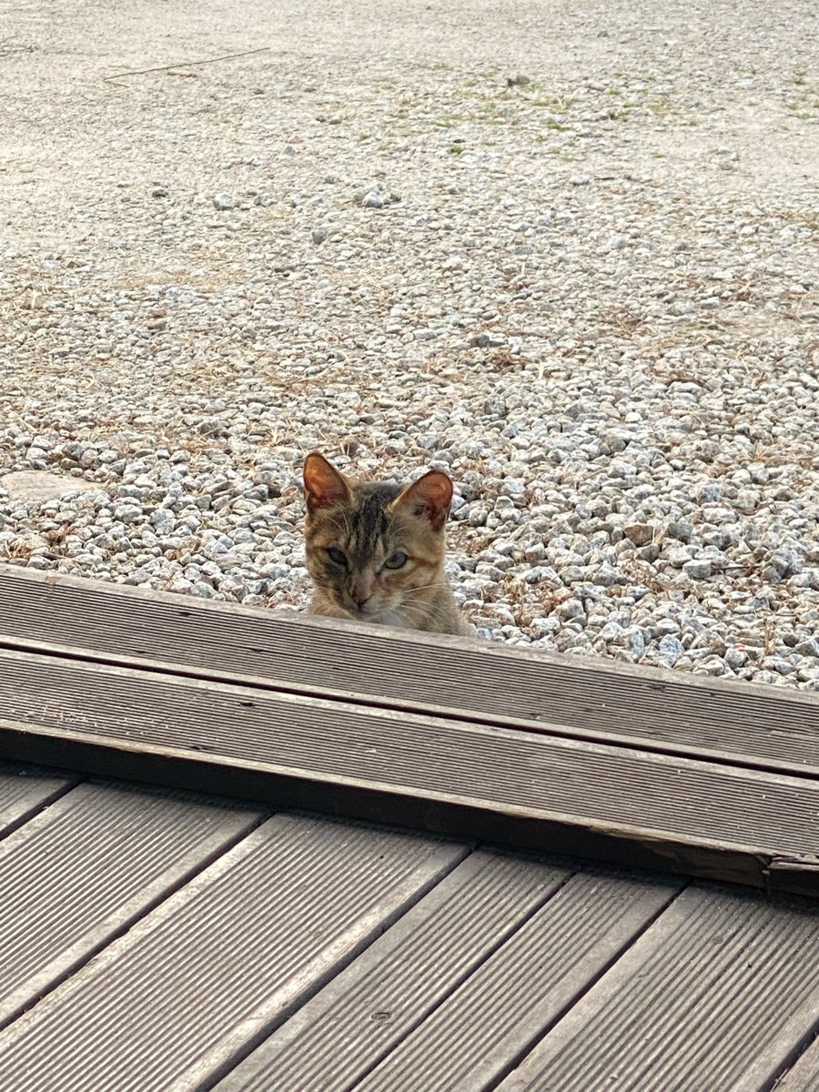 From_LeeKnow's tweet image. [220909] 7:54 PM KST 💭🐰 

📷

📷

Heh