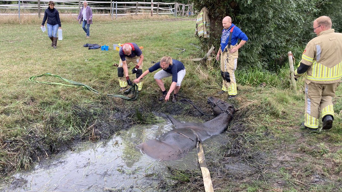 P2, dier in de problemen, Lekdijk west. Na een lastige klus paard weer gezond op de kant gezet.