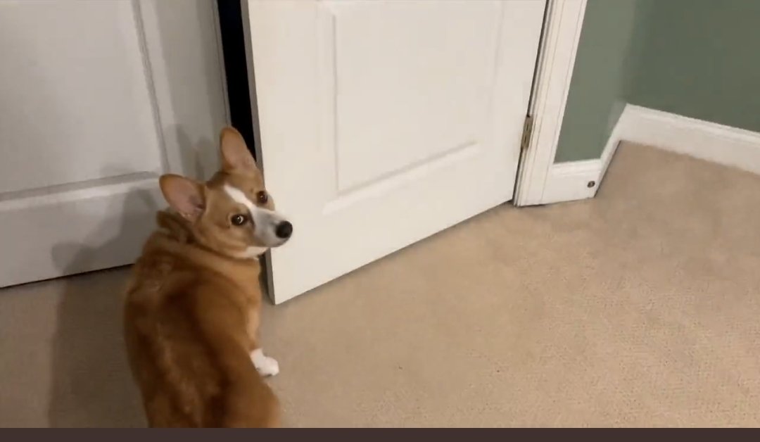 JayRobWarrior's tweet photo. @emmettdoog This look says it all... https://t.co/PJLJRdEz0i